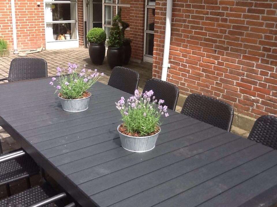 sommerlavendel